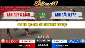 TRẬN 36 TONHON 2/11/2025