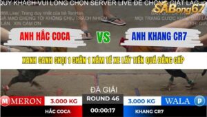 TRẬN 46 TONHON 2/11/2025