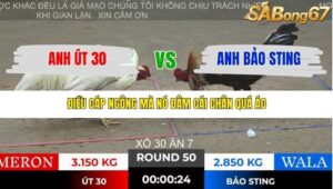 TRẬN 50 TONHON 28/11/2025