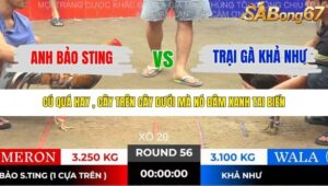 TRẬN 56 TONHON NGÀY 14/11/2025