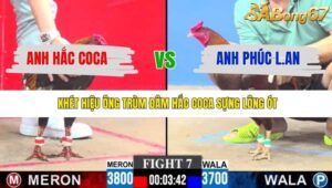 TRẬN 7 CPC3 30/11/2025