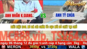 TRẬN 7 CPC5 25/11/2025