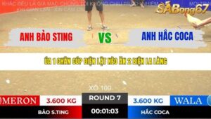 TRẬN 7 TONHON NGÀY 14/11/2025