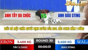 TRẬN 30 TONHON 31/12/2025