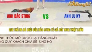 TRẬN 35 TONHON 31/12/2025