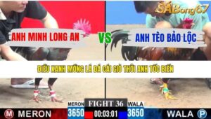 TRẬN 36 CPC3 14/12/2025