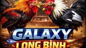 Bồ Gà Galaxy Long Bình