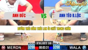 TRẬN 10 CPC3 28/12/2025