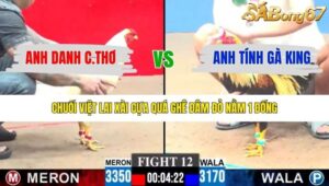 TRẬN 12 CPC3 21/12/2025