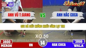 TRẬN 14 TONHON 4/12/2025