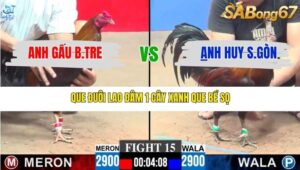 TRẬN 15 CPC3 28/12/2025