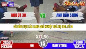 TRẬN 15 TONHON 3/12/2025