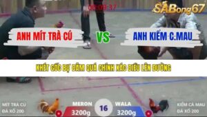 TRẬN 16 XÀ XÍA 19/12/2025