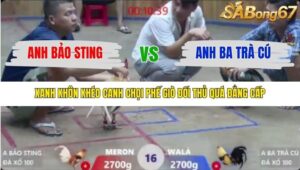 TRẬN 16 XÀ XÍA 7/12/2025