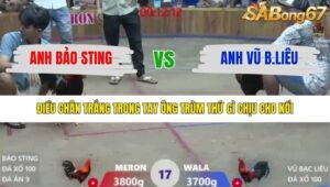 TRẬN 17 XÀ XÍA 19/12/2025