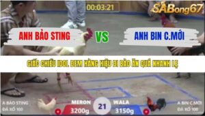 TRẬN 21 XÀ XÍA 7/12/2025