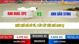 TRẬN 22 TONHON 10/12/2025