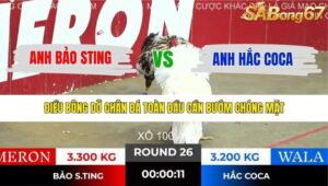 TRẬN 26 TONHON 10/12/2025