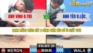 TRẬN 29 CPC3 28/12/2025