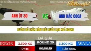 TRẬN 29 TONHON 10/12/2025