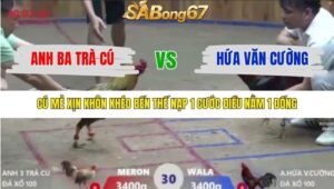 TRẬN 30 XÀ XÍA 7/12/2025