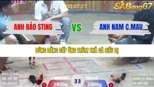 TRẬN 33 XÀ XÍA 19/12/2025