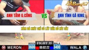 TRẬN 35 CPC3 28/12/2025