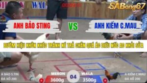 TRẬN 4 XÀ XÍA 7/12/2025