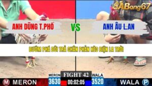 TRẬN 42 CPC3 28/12/2025