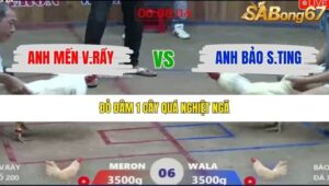 TRẬN 6 XÀ XÍA 19/12/2025