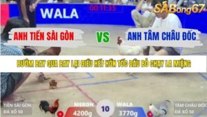 TRẬN 10 XÀ XÍA 22/1/2026