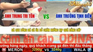 TRẬN 11 CPC5 6/1/2026