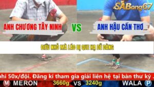 TRẬN 12 CPC5 22/1/2026