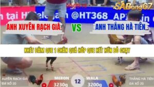 TRẬN 12 XÀ XÍA 14/1/2026