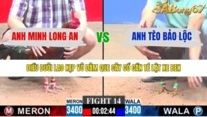 TRẬN 14 CPC3 15/1/2026