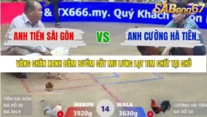 TRẬN 14 XÀ XÍA 22/1/2026