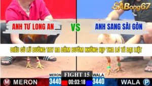 TRẬN 15 CPC3 15/1/2026