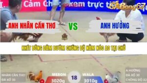 TRẬN 18 XÀ XÍA 14/1/2026