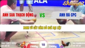 TRẬN 18 XÀ XÍA 6/1/2026