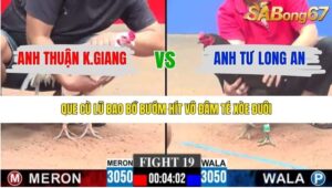 TRẬN 19 CPC3 15/1/2026