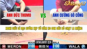 TRẬN 23 CPC3 15/1/2026