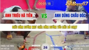 TRẬN 26 XÀ XÍA 22/1/2026