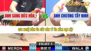 TRẬN 3 CPC3 15/1/2026