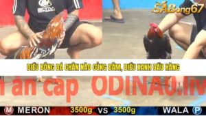 TRẬN 4 CPC5 15/1/2026