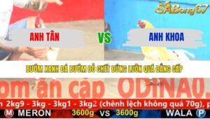 TRẬN 4 CPC5 6/1/2026