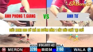 TRẬN 42 CPC3 15/1/2026