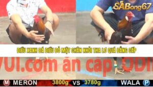 TRẬN 5 CPC5 15/1/2026