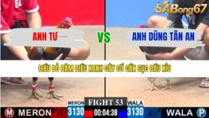 TRẬN 53 CPC3 15/1/2026