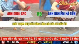 TRẬN 7 CPC5 22/1/2026