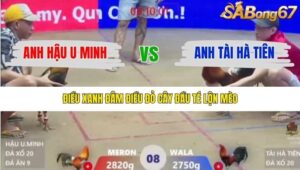 TRẬN 8 XÀ XÍA 14/1/2026